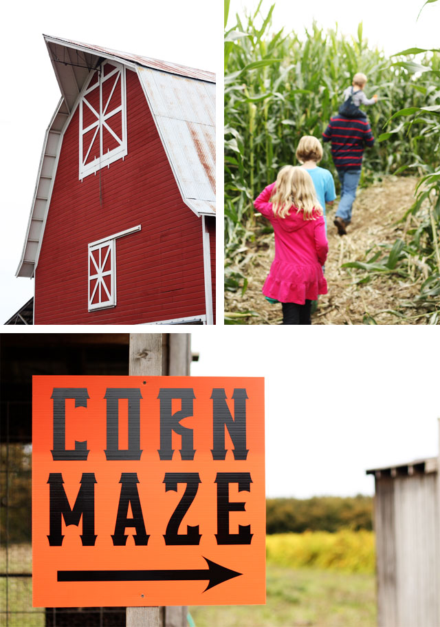 Our trip to a local pumpkin patch!