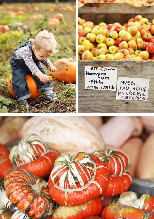Our trip to a local pumpkin patch!