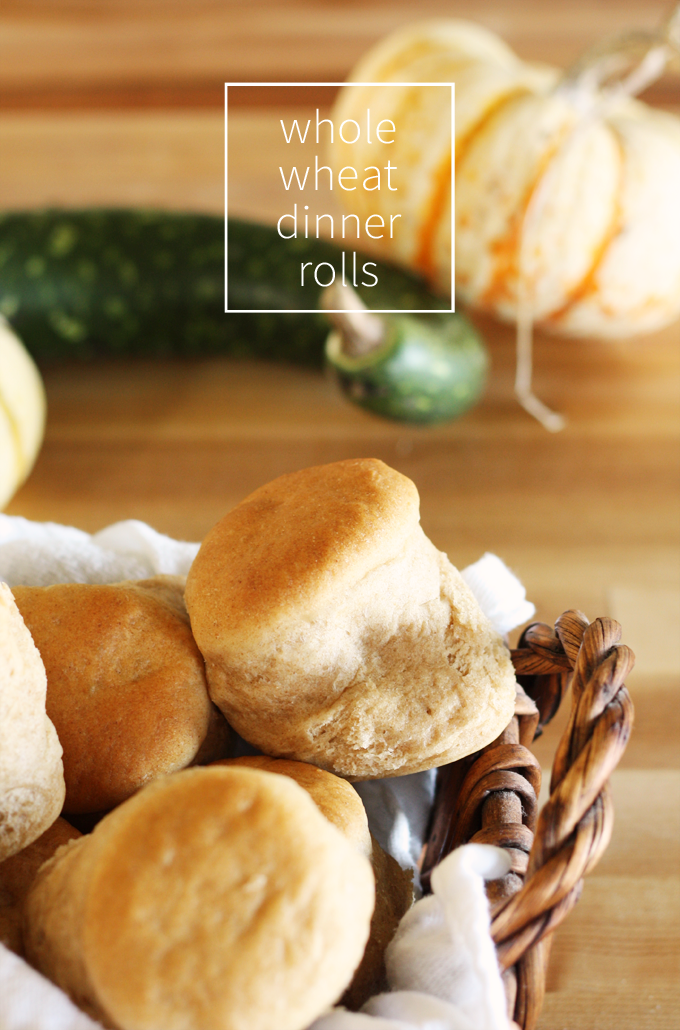 thanksgiving dinner whole wheat whole grain rolls