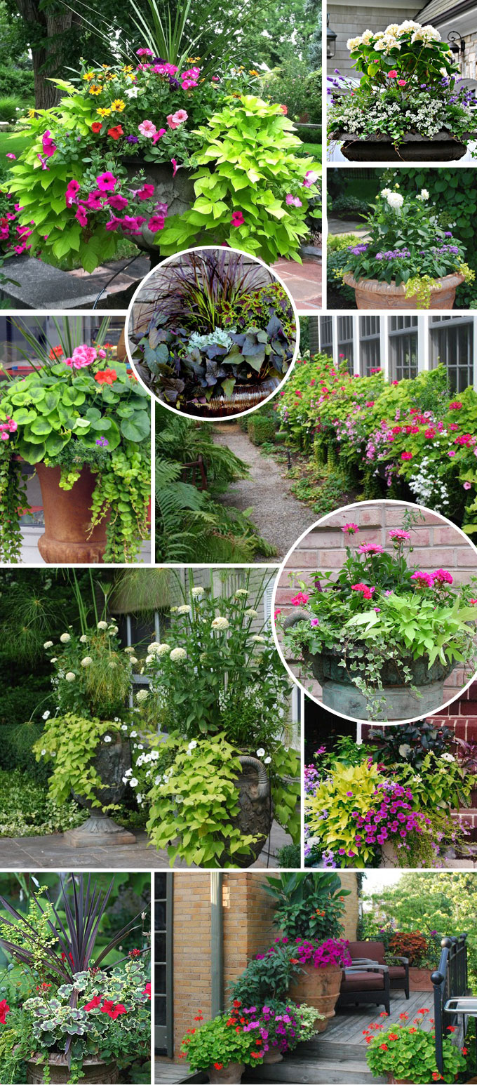 front porch planter container garden inspiration
