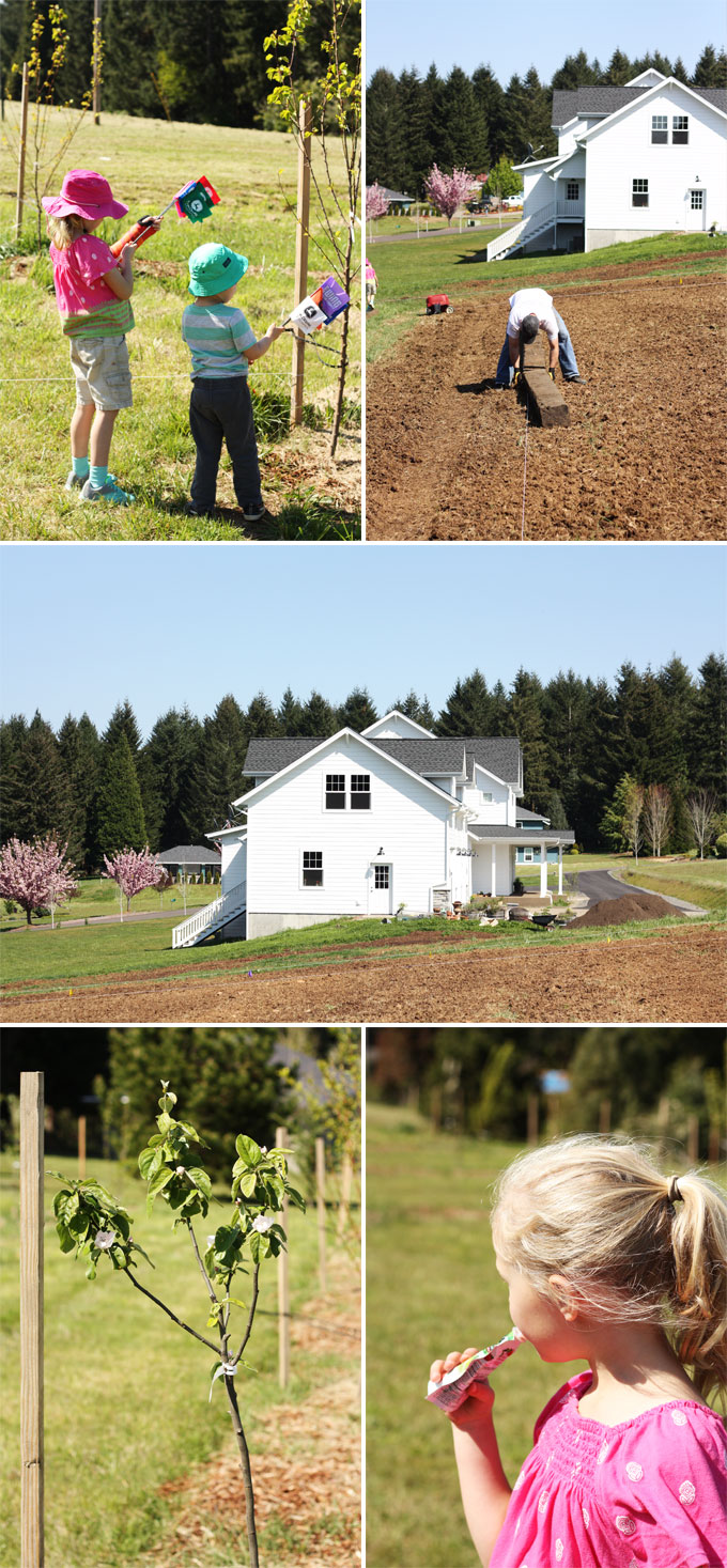 backyard-farming-tree-top-apple-sauce-giveaway