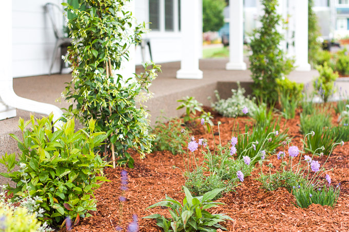 front yard landscaping ideas