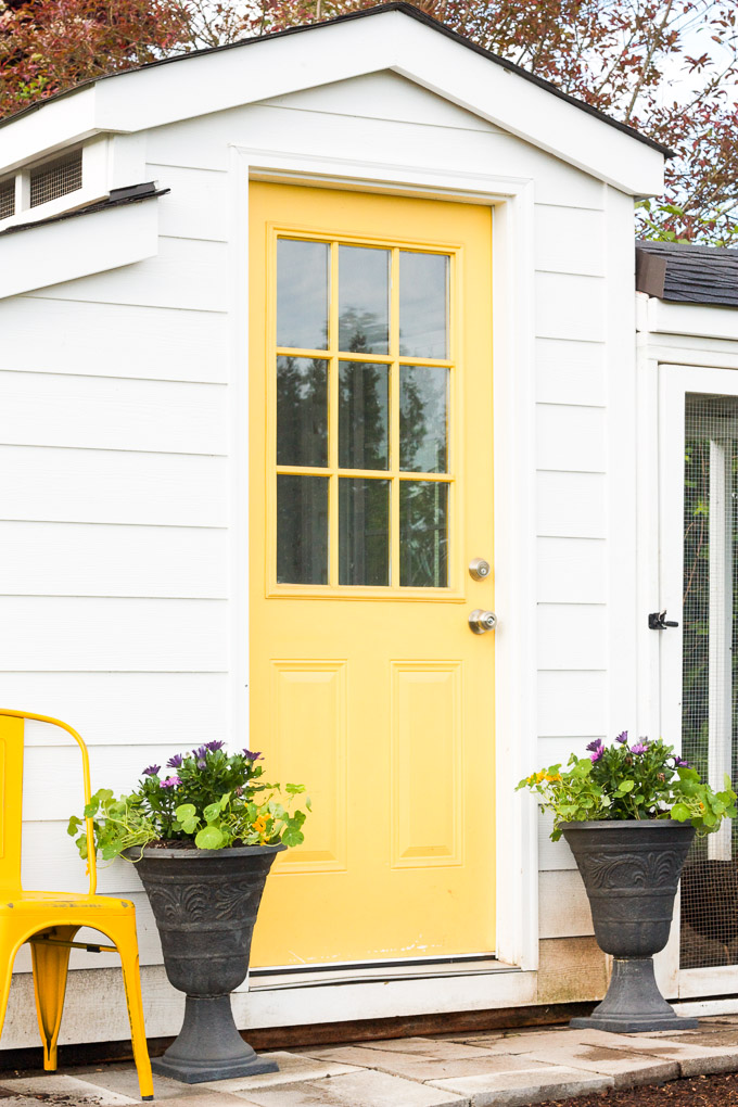 A white country cottage chicken coop with a sunny yellow front door