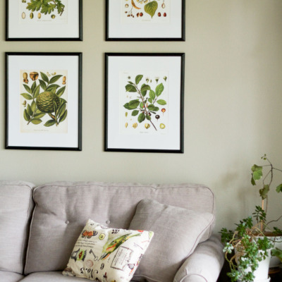 A naturalist living room makeover for the Spring 2017 One Room Challenge | botanical prints, neutrals, and lots of plants
