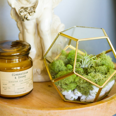 Week 5 of the One Room Challenge means we're in the home stretch of our naturalist living room makeover!