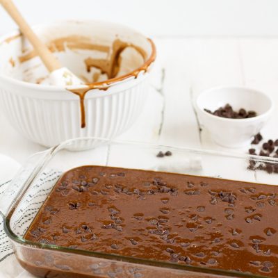 This super simple one-bowl double chocolate cake is easy and delicious!