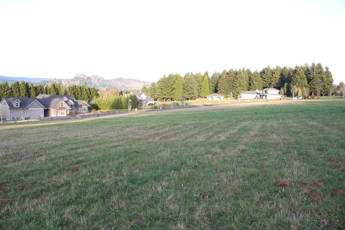 building a modern farmhouse